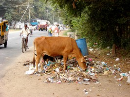 Ulice v Tiruvannamalai