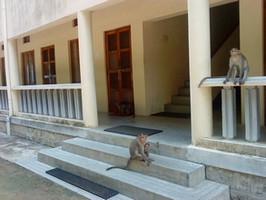Ubytovny Ramanášramu pro hosty